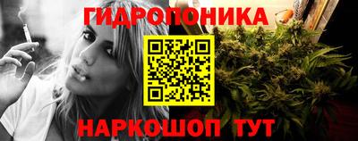 дмт Боровичи