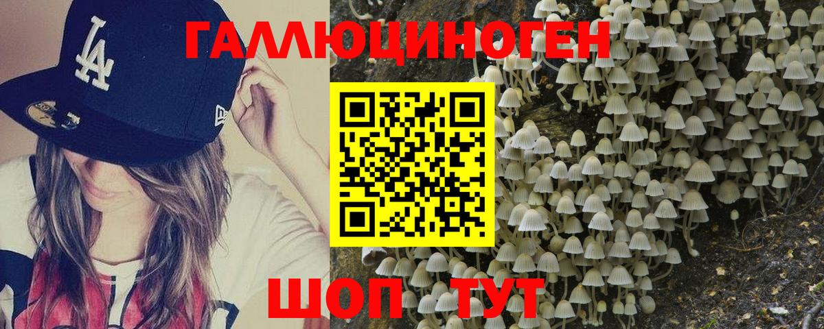 Псилоцибиновые грибы мицелий Усинск