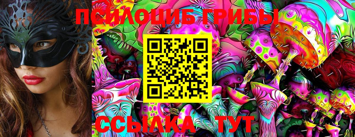 Усинск  Псилоцибиновые грибы Psilocybine cubensis  наркошоп  Вход с VPN 